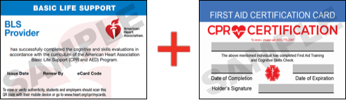 Sample American Heart Association AHA BLS CPR Card Certificaiton and First Aid Certification Card from CPR Certification Virginia Beach
