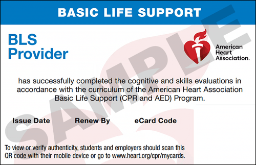 Sample American Heart Association AHA BLS CPR Card Certification from CPR Certification Virginia Beach
