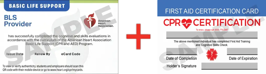 Sample American Heart Association AHA BLS CPR Card Certification and First Aid Certification Card from CPR Certification Virginia Beach